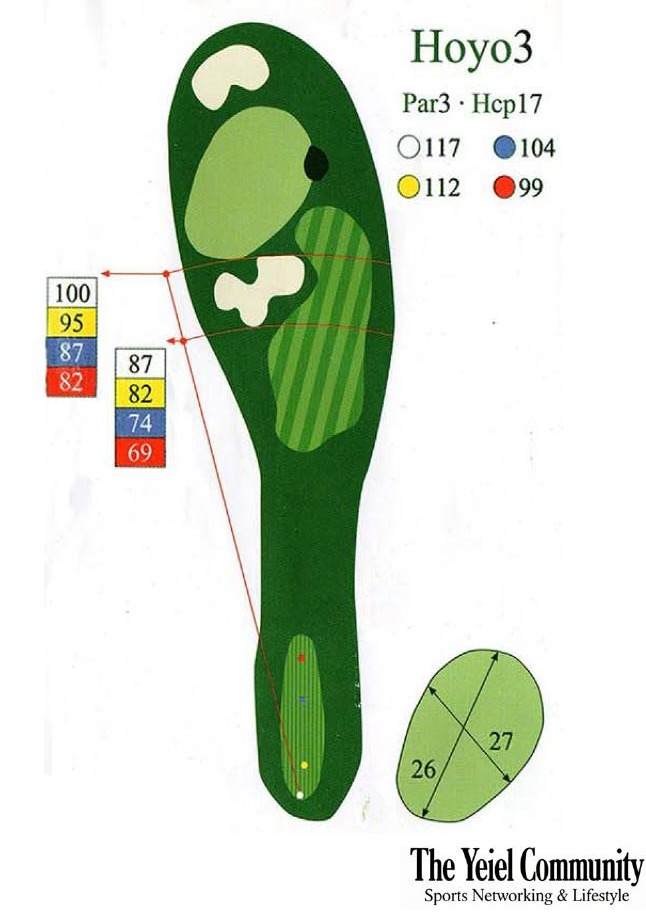 Plano del hoyo 3 de Club de Golf Las Pinaillas, par 3, 117 metros